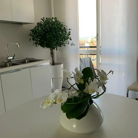 Top View Appartement Alexandrie
